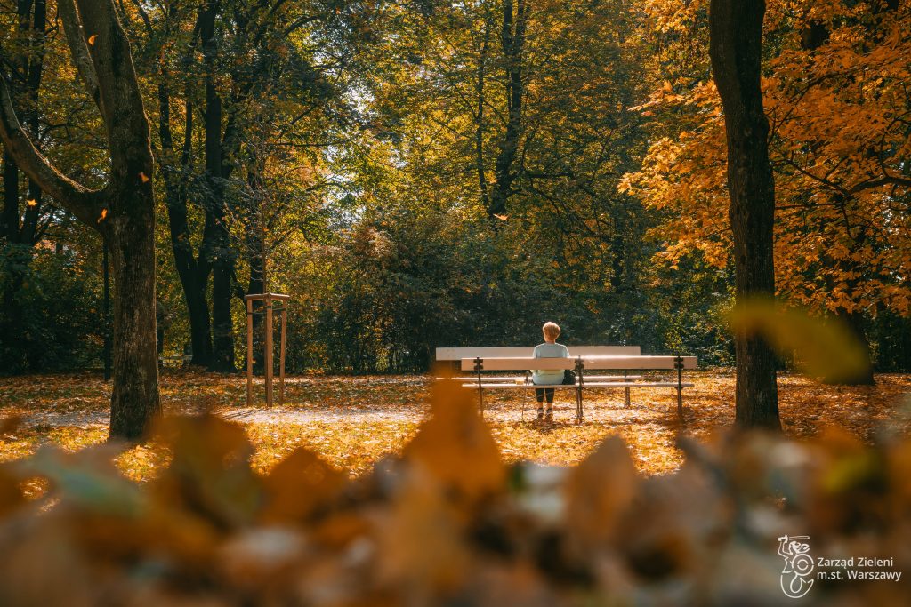 Kobieta siedzi na ławce w Ogrodzie Saskim wśród żółtych liści; jesienny, słoneczny dzień 