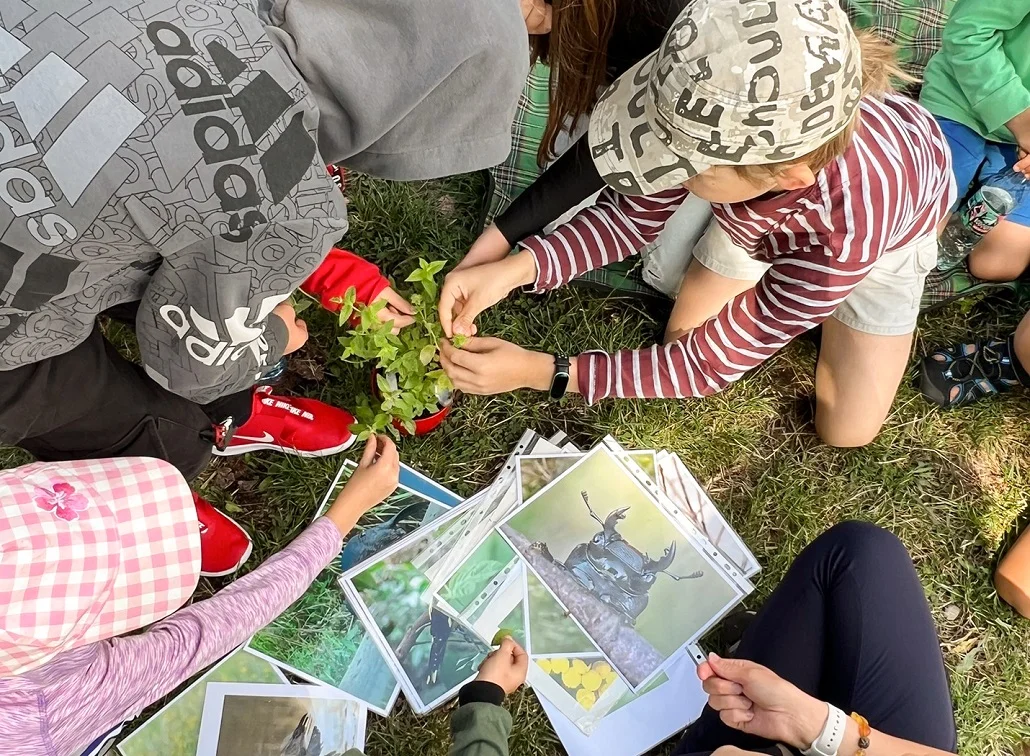 Edukacja - Konkursy dla szkół