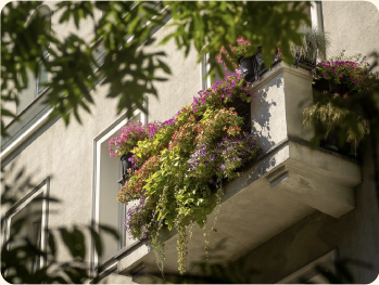 Edukacja - Warszawa w kwiatach