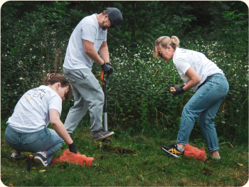 Nasze działania - inwestycje