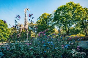 Donice z kwiatami i rzeźba żyrafy w Parku Praskim