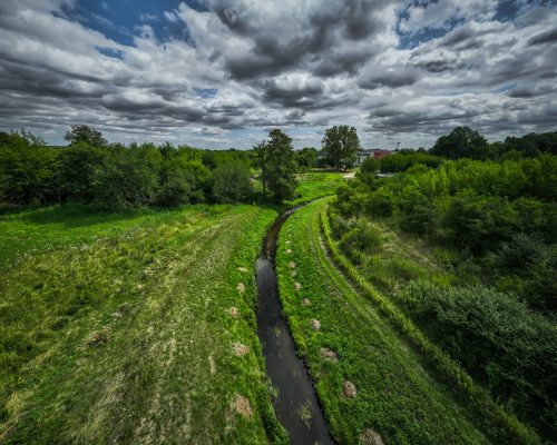 Aktualności nr 5