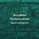Skrzydlata Dzielnica Wisła - spacer ornitologiczny