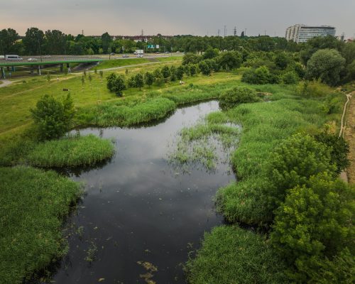 Aktualności nr 1