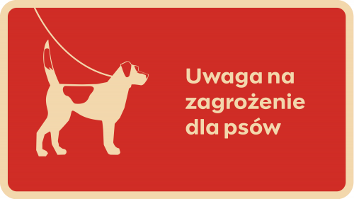 Aktualności nr 7