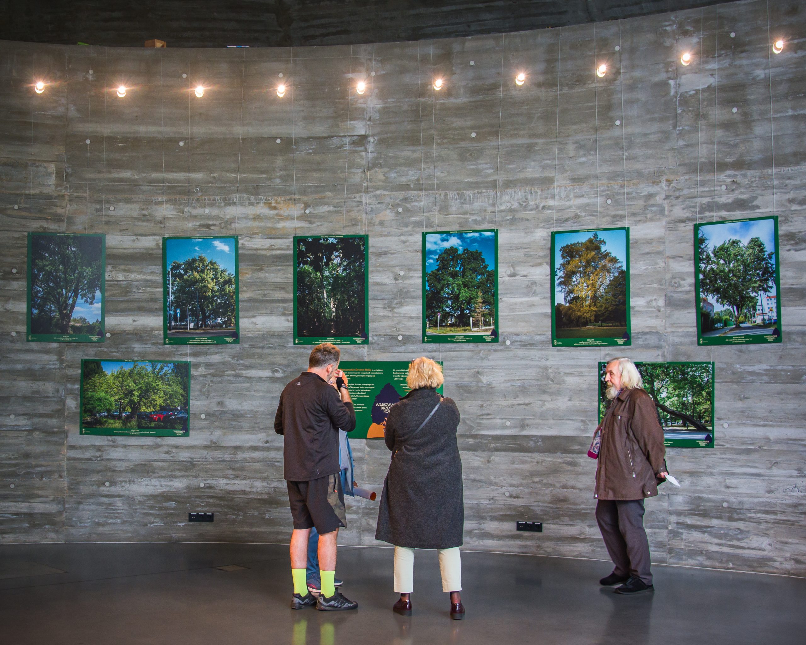 Wystawa w Pawilonie Edukacyjnym Kamień finalistów plebiscytu "Warszawskie Drzewo Roku 2023" - mieszkańcy patrzą na zdjęcia wiszące na ścianie bidynku