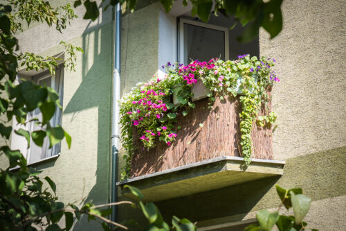 Aktualności nr 6