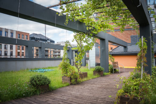 Pergola z roślinami.