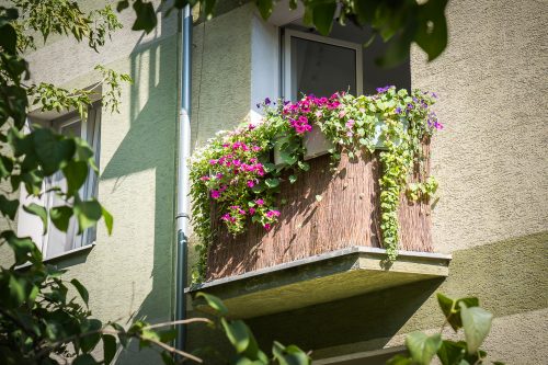 Balkon z kwiatami.