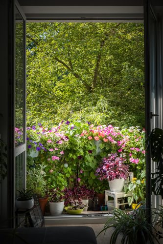 Ukwiecony balkon.