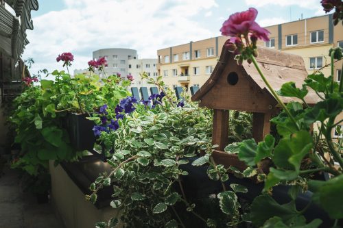 Ukwiecony balkon.