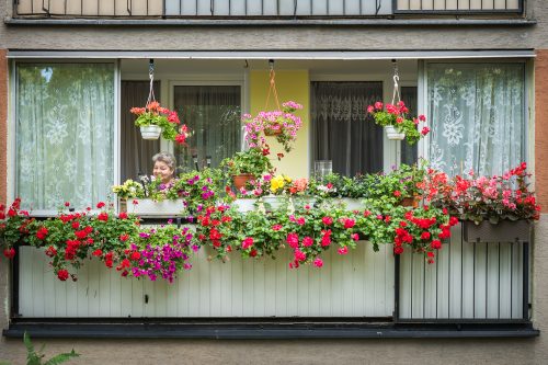 Balkon z kwiatami.