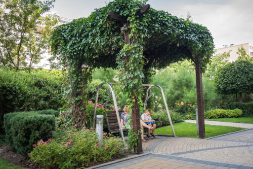 Ogród przy bloku, obrośnięta pergola.