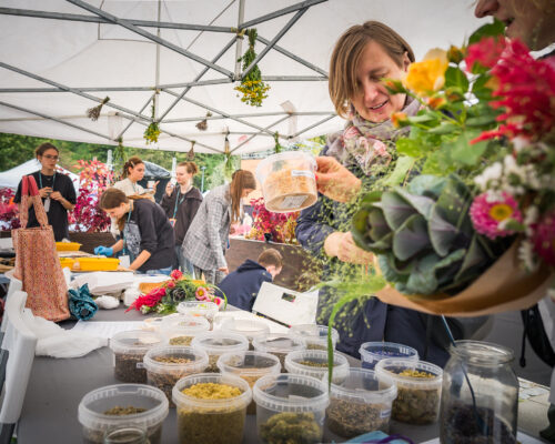 Kobieta patrzy na słoiki z nasionami