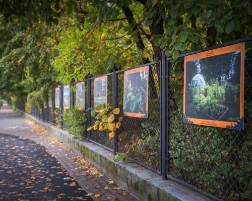 Wystawa zdjęć na ogrodzeniu parku Ujazdowskiego
