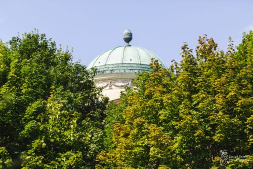 Kolory drzew, w tle widoczna niebieska kopuła pałacu.
