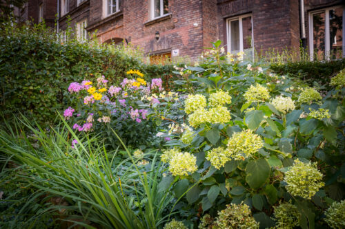 Ogród przed budynkiem