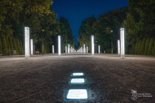 Aleja parkowa nocą, podświetlone tablice.