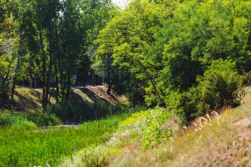 Ciek wodny płynący fosą, na brzegach bujna roślinność, drzewa.