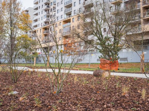 Inwestycje - Park kieszonkowy przy ul. Powstańców Śląskich