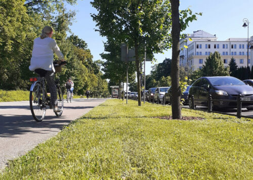 Wysoka trawa między chodnikiem a ulicą, lato, kobieta jedzie na rowerze
