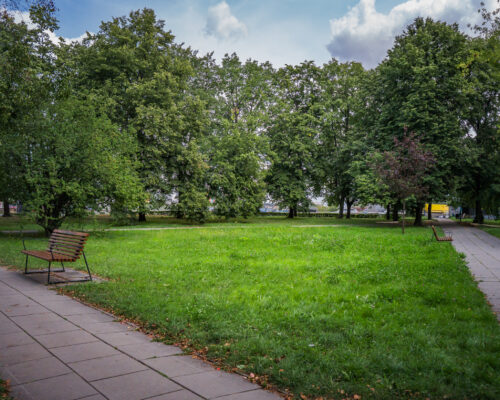Drzewa, trawnik, alejka na skwerze im. Rodziny Matysiaków