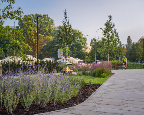 Park nad Południową Obwodnicą Warszawy - rośliny, alejka, drzewa, rowerzysta