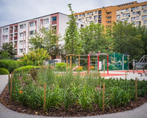 Zieleń na skwerze przy ul. Gibalskiego