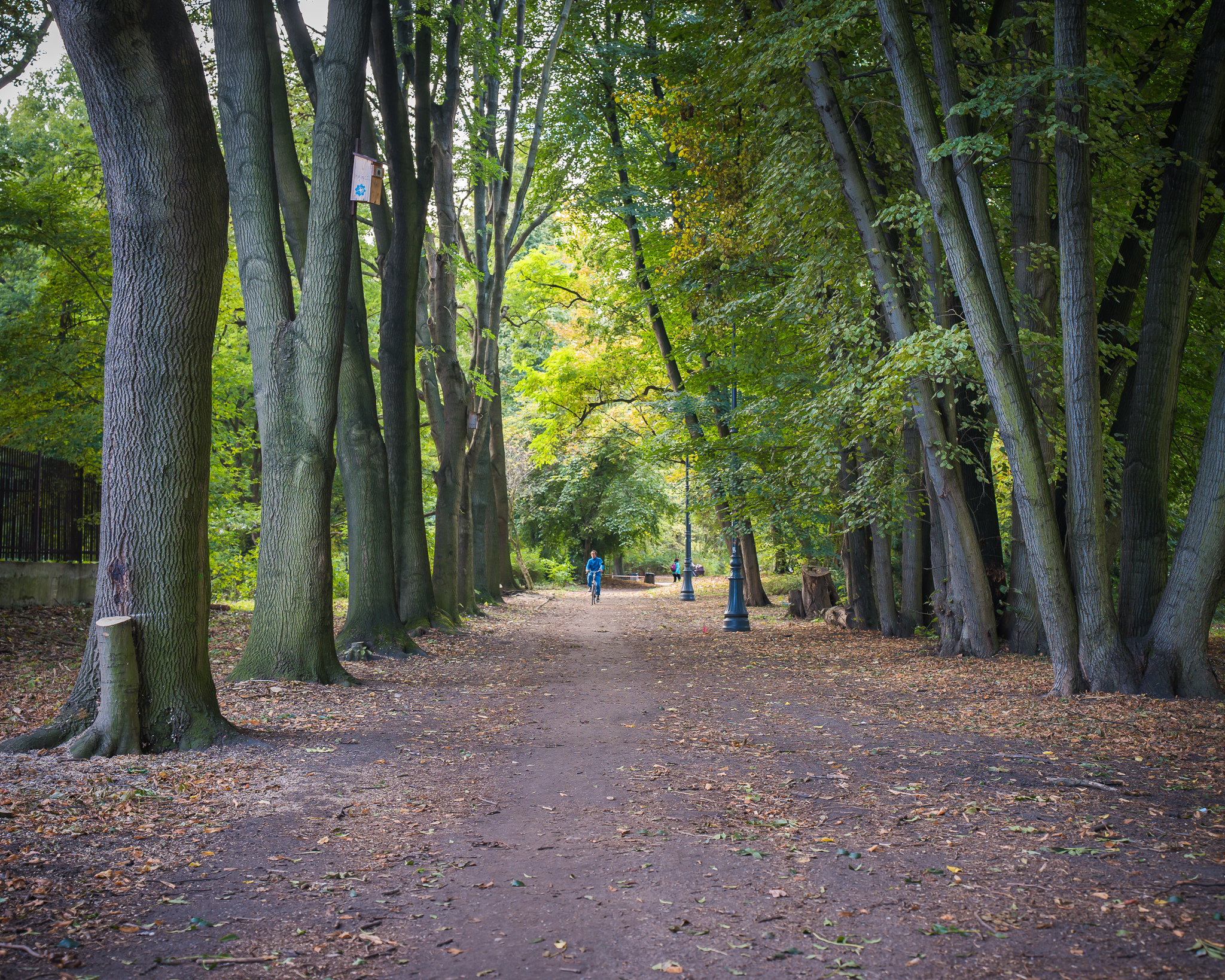 Aktualności nr 