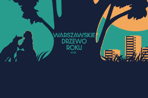 Aktualności nr 8