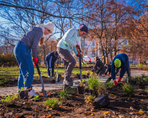 Wolontariusze sadzą rośliny na skwerze im. Rodziny Matysiaków