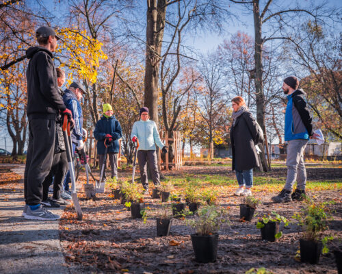 Rośliny w doniczkach na skwerze - pracowniczka ZZW i mężczyzna tłumaczą coś wolontariuszom
