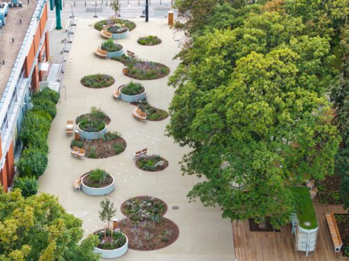 Rabaty i drzewa na skwerze Gwary Warszawskiej