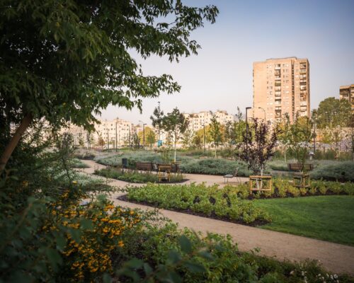 Nowy odcinek parku nad POW - alejki, krzewy, drzewa