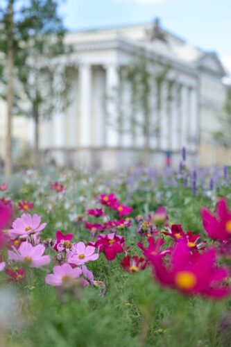 Kwiaty na Placu Bankowym