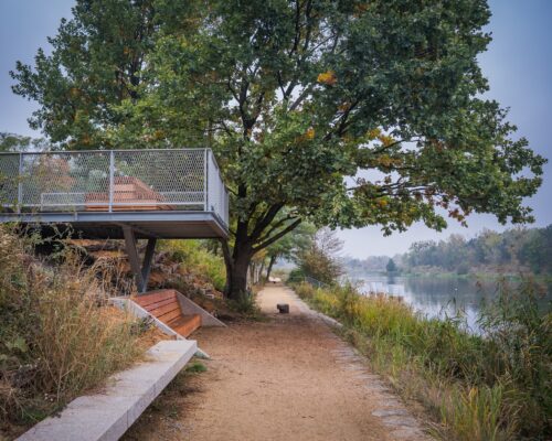 Bulwar, drzewo, ławka, szuwary w Parku Żerańskim