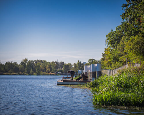 Pomost i szuwary w Parku Żerańskim, Kanał Żerański