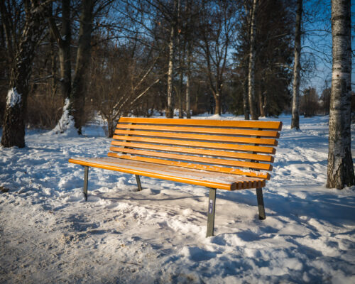 Ławka przy alejce na śniegu
