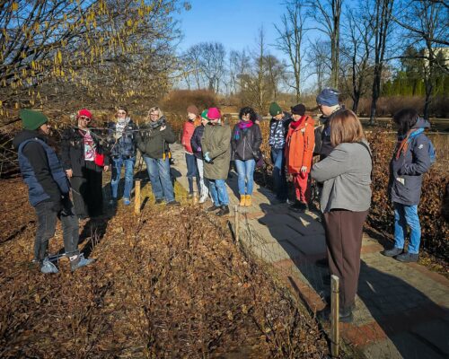 Pracownicy ZZW szkolą się z przycinania krzewów w parku