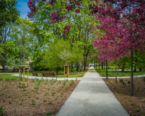 Nowe alejki i zieleń na skwerze