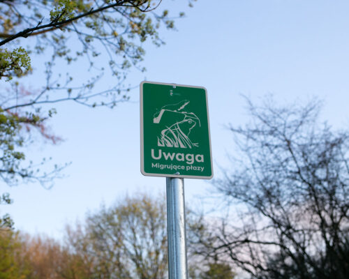 tabliczka z grafiką płazów i napisem: uwaga, migrujące płazy