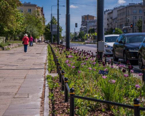 Rabata w miejscu rozpłytowanym, przy ulicy