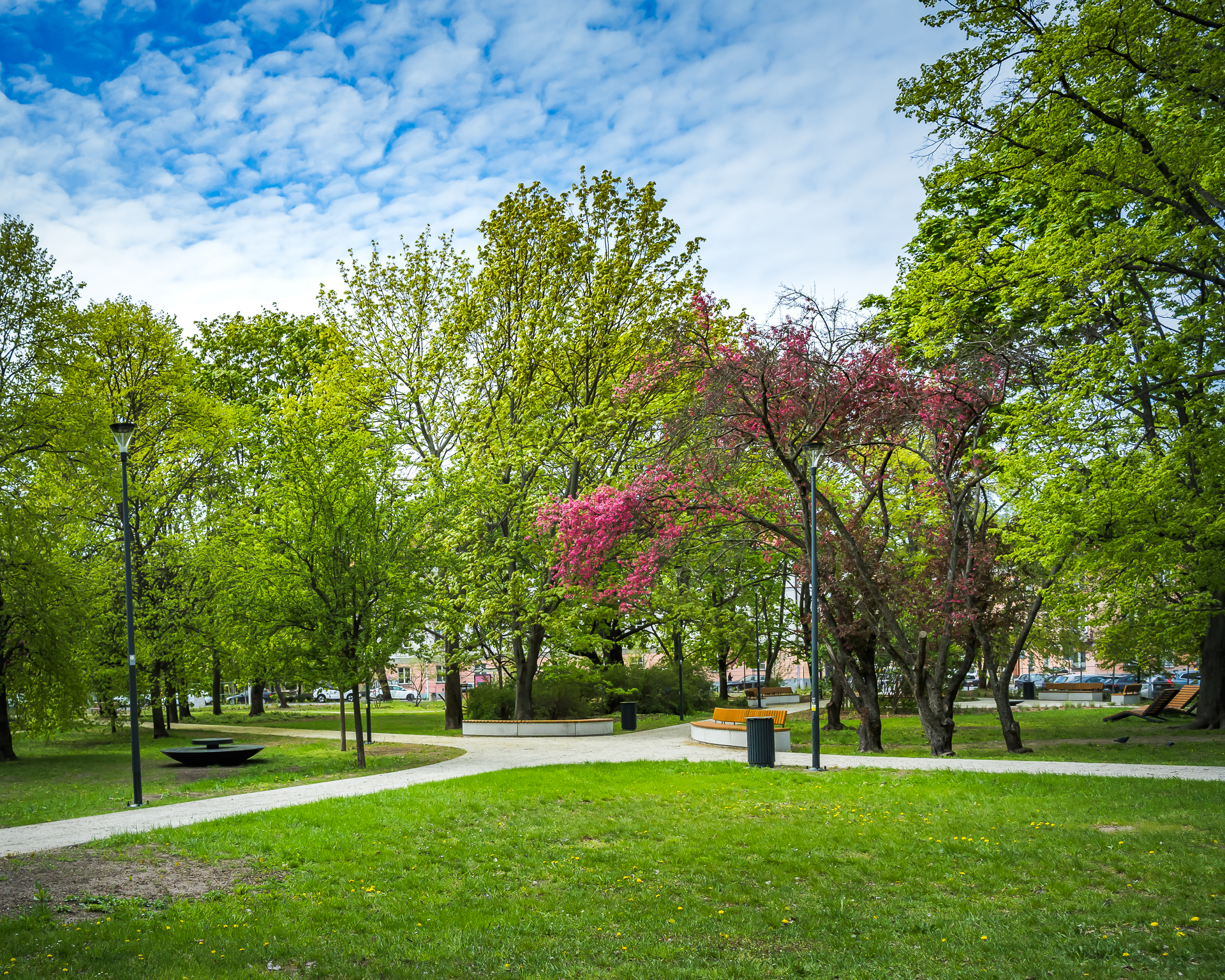 Nowa zieleń, alejki i łaki na skwerze