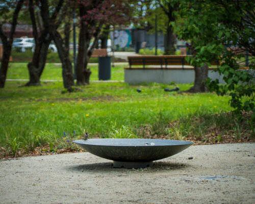 Duże poidełko dla ptaków na skwerze