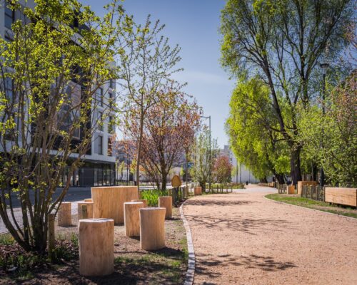 Zielony Plac przy ul. Łomżyńskiej, alejka, pieńki do siedzenia i zabawy, nowa zieleń