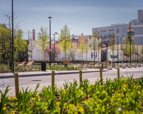 Rośliny, alejka, Zielony Plac na Pradze-Północ