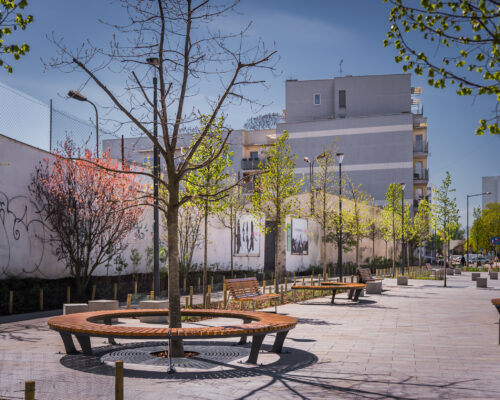 Okrągła ławka wokół drzewa, rośliny