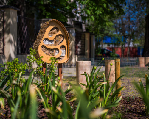 Rośliny, hotel dla owadów na Zielonym Placu