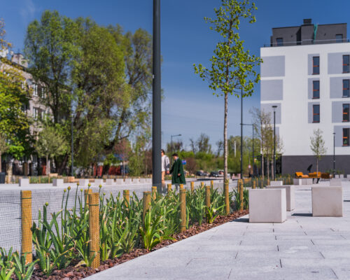 Rośliny, chodnik latarnia na Zielonym Placu na Pradze-Północ