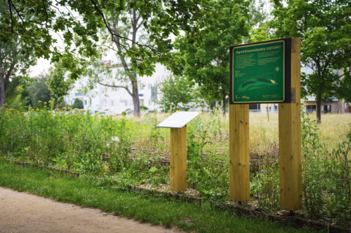 Ogród biocenotyczny w Warszawie